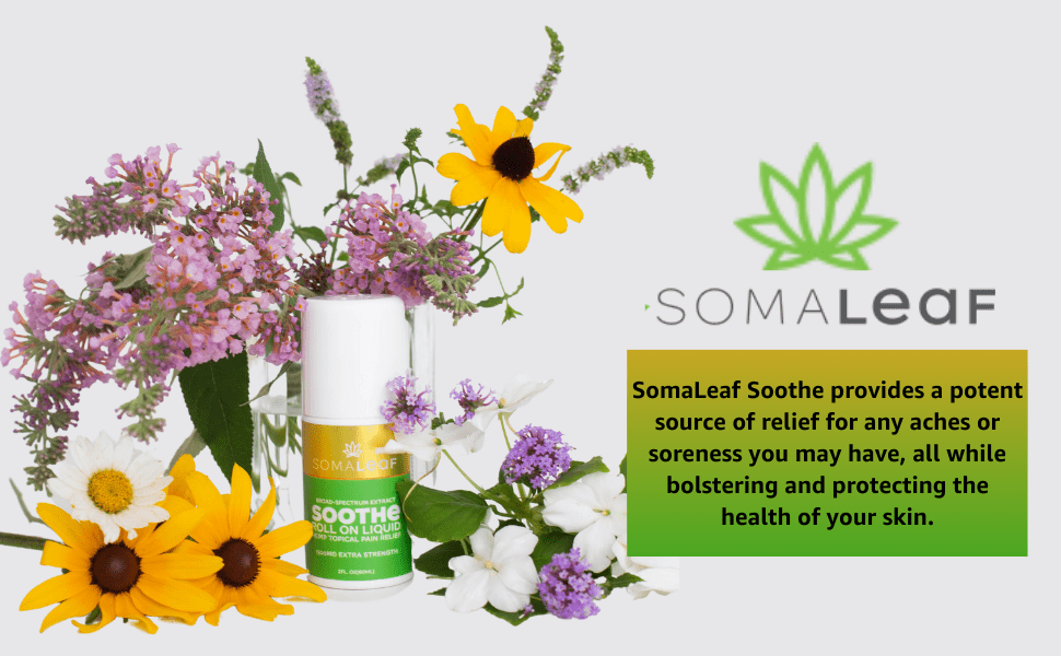 SomaLeaf CBD Turmeric Review: Can This Liposomal CBD Formula Really Improve Your Sleep? 1 5d305301 d830 47a8 b265 b0fca30b01ec. CR00970600 PT0 SX970 V1